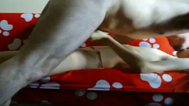 Live Cewek Bispak Jakarta Main Di Bintang Lima